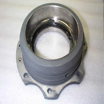 Housing Bevel Pinion Bearing
