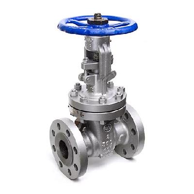 Gate Valve 300