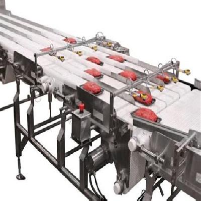 Food Grade and HACCP Conveyor Belts
