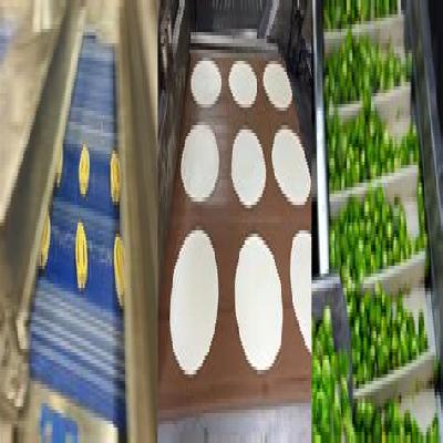 Food Conveyor Belt