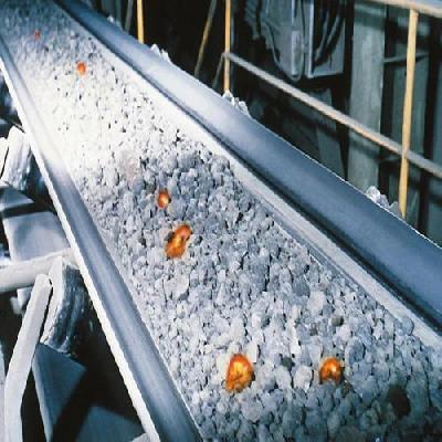 Heat Resistant Conveyor Belt