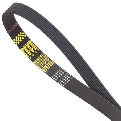 Ribbed Belts