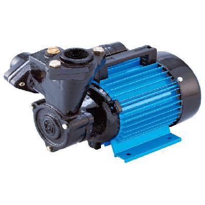 Domestic Water Pump