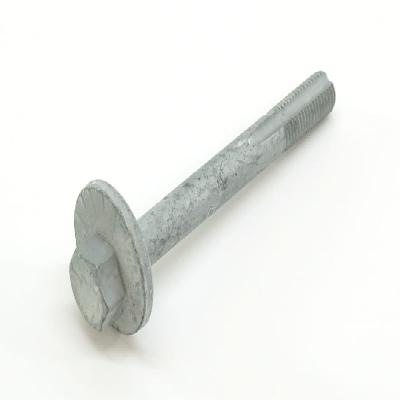 Eccentric Screw