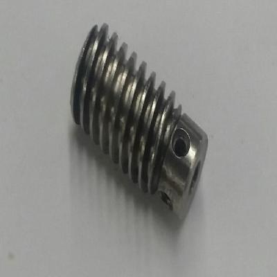 Timing Worm