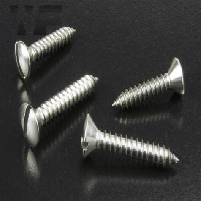 Raised Slotted Screw