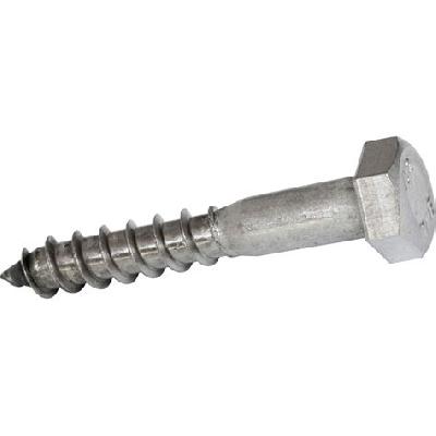 Coach Screw