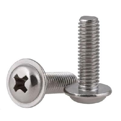 Flange Phillips Screw