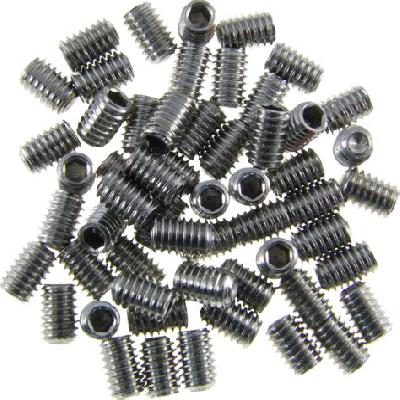 SS Grub Screw