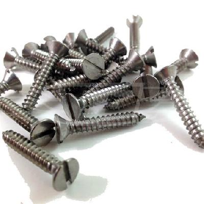CSK Slotted Self Tapping Screw
