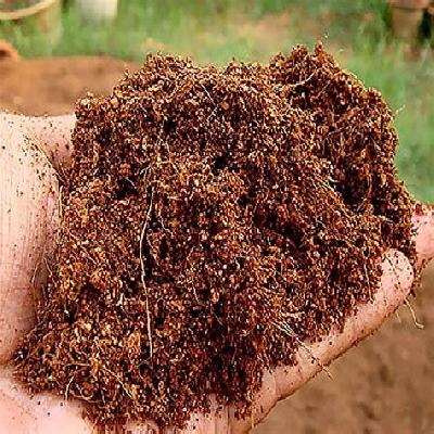 Cocopeat