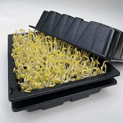 Microgreen Trays