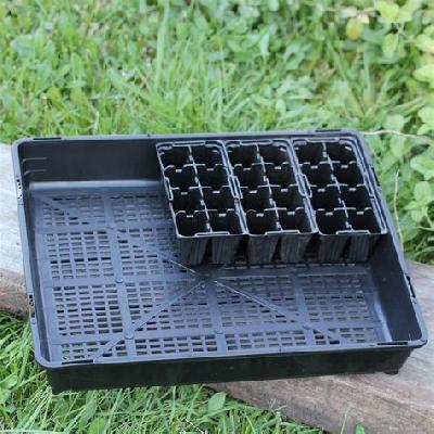 Seedling Trays