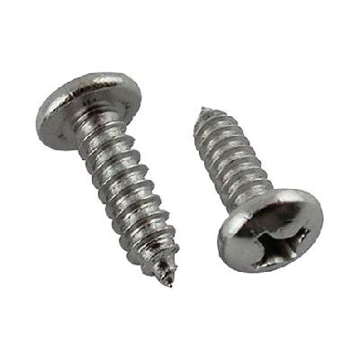 S.S. Self Tapping Screw