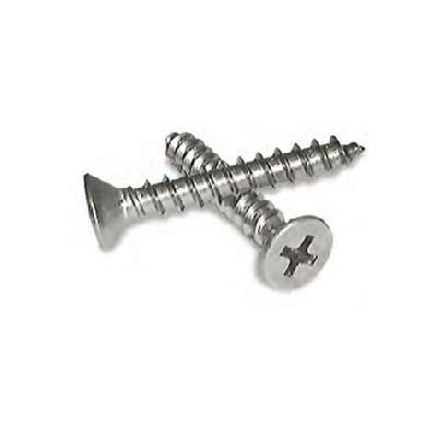 S S Self Tapping Phillips Screw