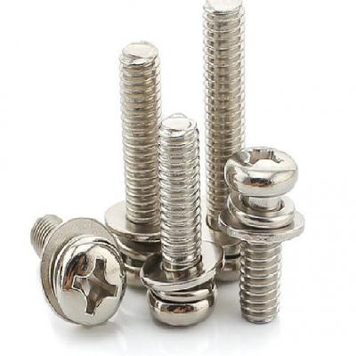 SS with Washer Machine Screw