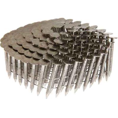 Stainless Steel Screw Shank Wire Nails