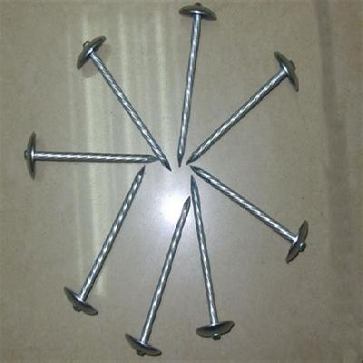 Stainless Steel Twisted Nails