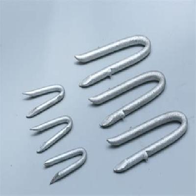 Stainless Steel U Nails