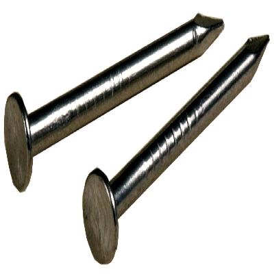 Stainless Steel Wire Nails