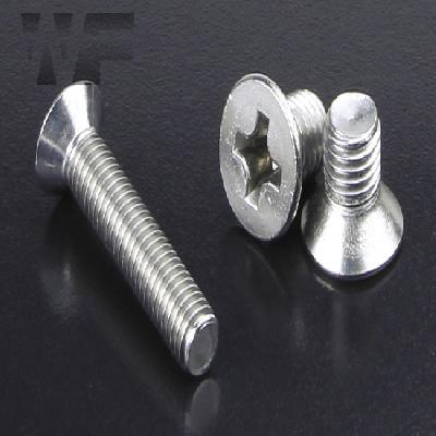 CSK Phillips Screw