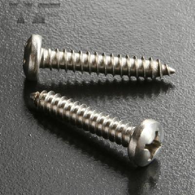 CSK Plastite Self Tapping Screws