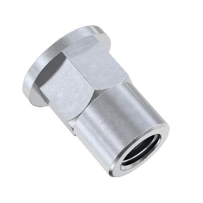 Hexagon Rivet Bush Nuts