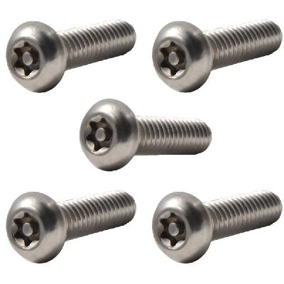 Oval Tamper Proof Machine Screws
