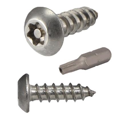 Pin Torx Tamper Proof Machine Screws