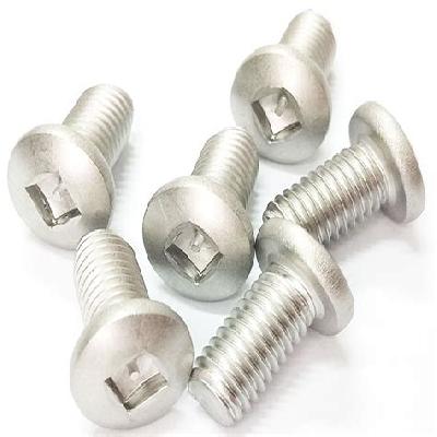 Sentinel Tamper Proof Machine Screws