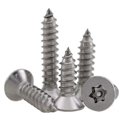 Snake Eyes Tamper Proof Self Tapping Screws