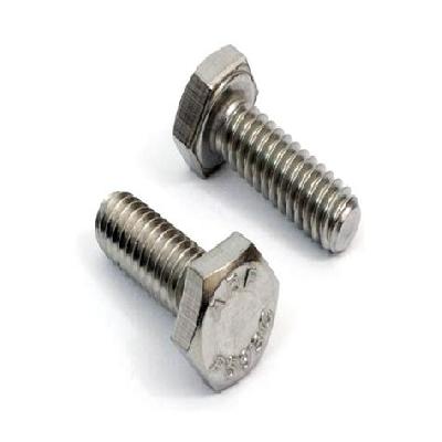 SS Hex Bolt