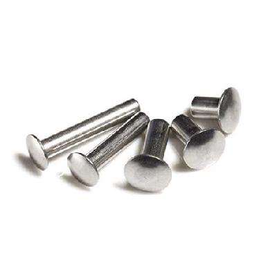 Truss Head Hollow Rivets
