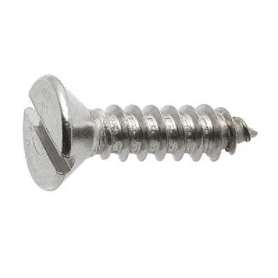 CSK Head Slotted Screw