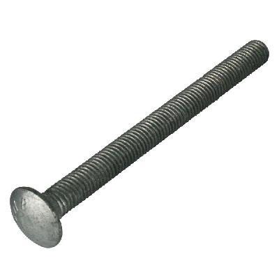 Carriage Bolt