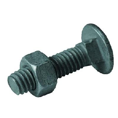 Galvanized Carriage Bolt