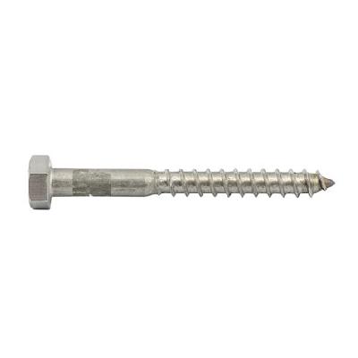 Hex Head Coach Screw