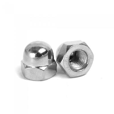 SS Hexagonal Dome Nut