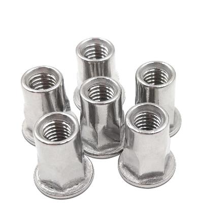 Aluminum Rivet In SS Cap