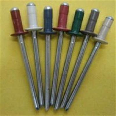 Painted Rivet