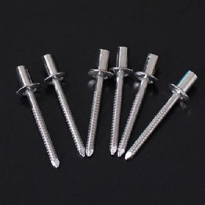 SS Rivets