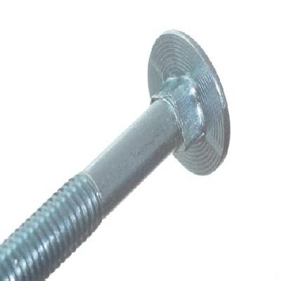 Carriage Bolts