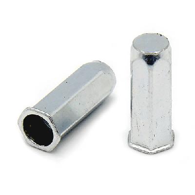 Hex Closed Rivet Nut