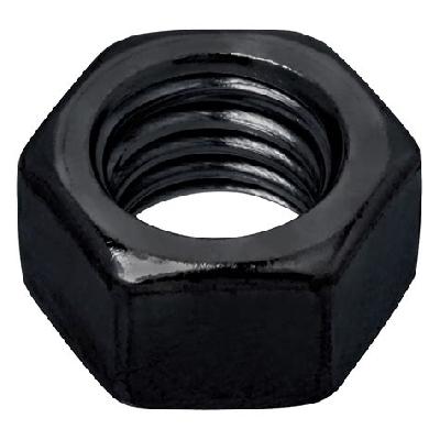 Hex Nut