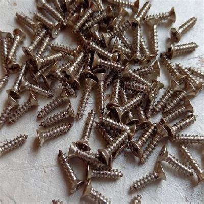Micro Screws