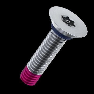 Slotted Sealing Screw