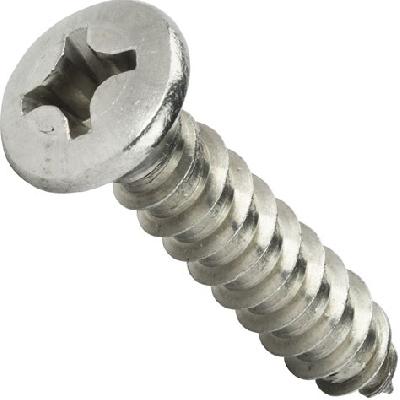 Long Screw