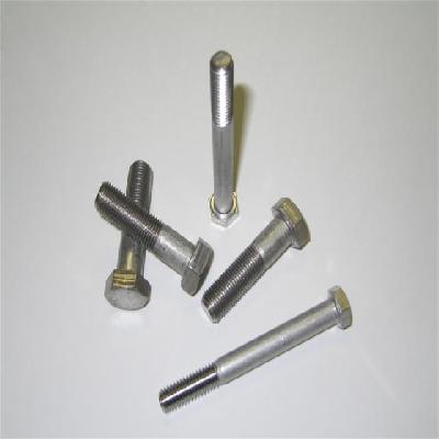 MS Screws