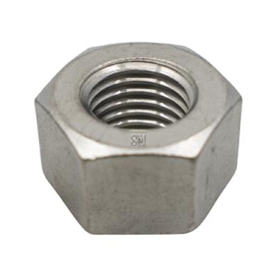 SS Hex Nut
