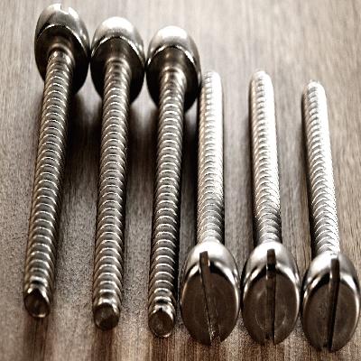 SS Pan Head Slotted Screws